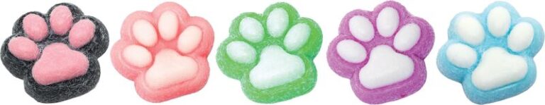 ASTF Cool Mix Squishy Cat Paw-5 Σχέδια-1Τμχ (T26286)