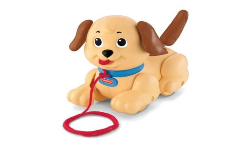 Fisher Price Συρόμενο Σκυλάκι (H9447)